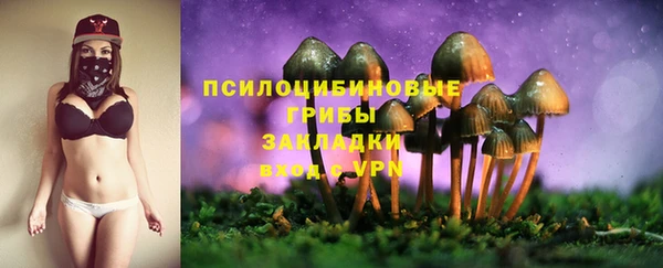 первитин Заволжск