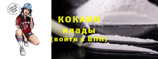 соль курить ск Заводоуковск