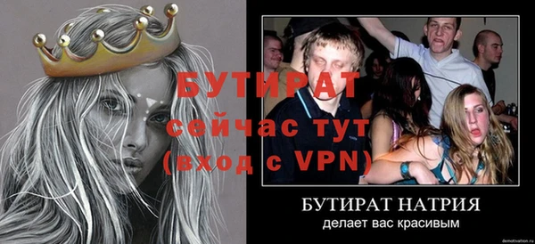 ПСИЛОЦИБИНОВЫЕ ГРИБЫ Заволжье