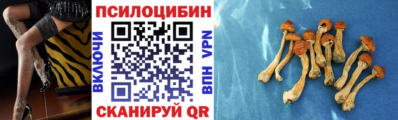 Галлюциногенные грибы Magic Shrooms  Купить закладки  Электросталь 